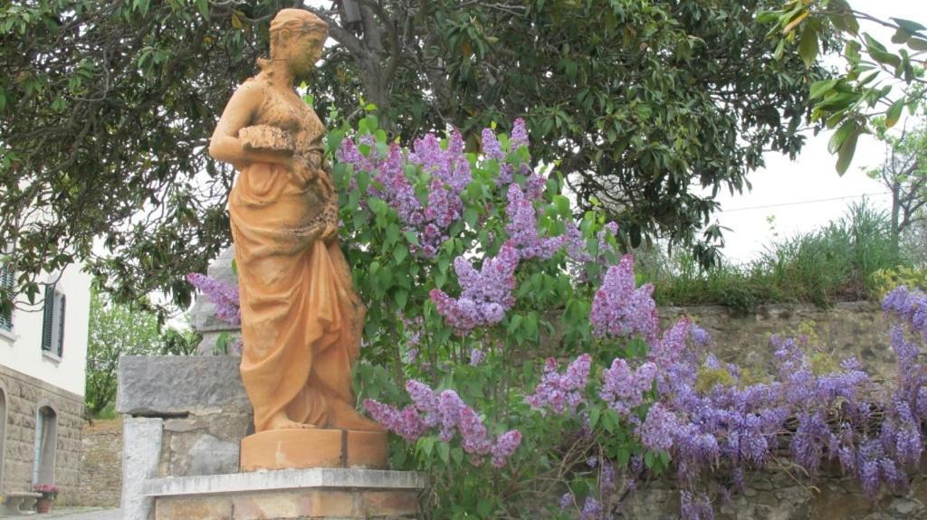 La Casaccia Guelfi Alojamento de Turismo Rural *
